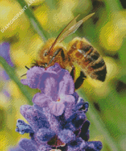 Bee On Lavender Diamond Painting