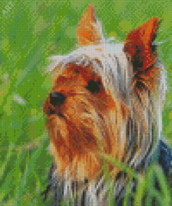 Cute Australian Terrier Diamond Painting