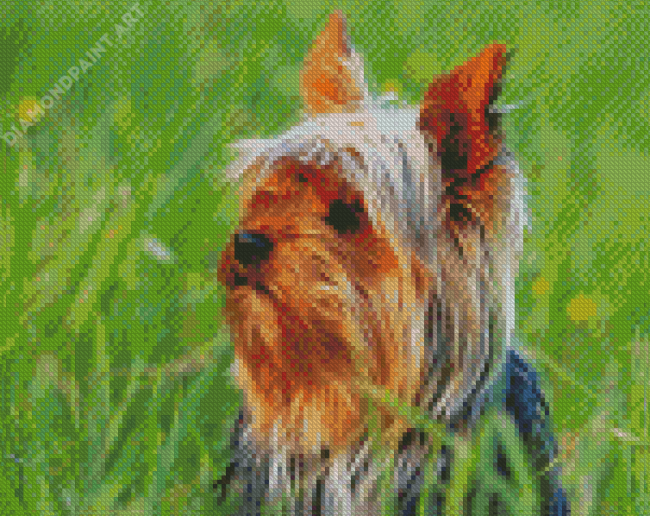Cute Australian Terrier Diamond Painting