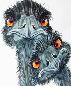 Emus Birds diamond painting