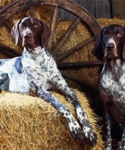 English Coonhound Dogs diamond painting