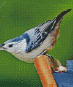 Female White Breasted Nuthatch Bird Diamond Painting