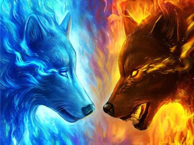 Fire And Ice Wolfs diamond painting