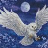 Harry Potter Hedwig Owl Diamond Painting