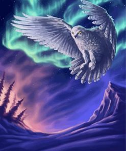 Hedwig Owl Movie Diamond Painting