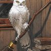 Hedwig Owl Diamond Painting