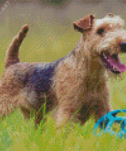 Lakeland Terrier Dog Diamond Painting