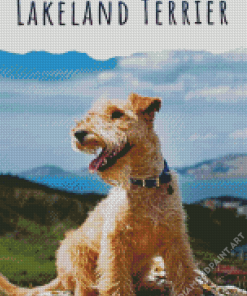 Lakeland Terrier Poster Diamond Painting