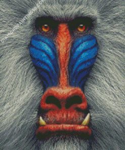 Mandrill Monkey diamond painting