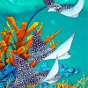 Manta Rays Underwater diamond painting