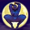 Ninja Assassin Moonlight diamond painting