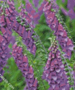 Purple Foxglove Plants diamond painting