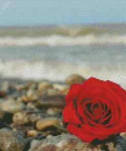 Red Roses And Beach Diamond Painting