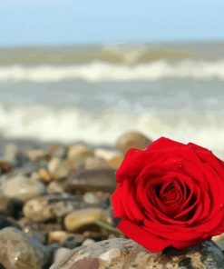 Red Roses And Beach Diamond Painting