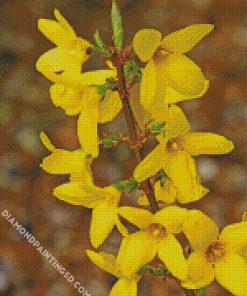 Yellow Forsythia Flowering Palant diamond painting