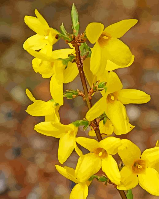 Yellow Forsythia Flowering Palant diamond painting
