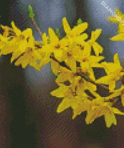 Yellow Forsythia Plant diamond painting