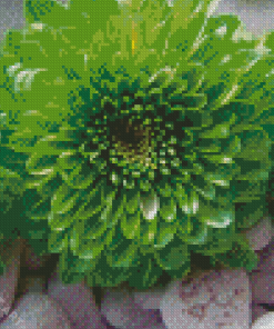 Green Flowers Diamond Painting