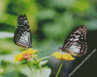 Aesthetic Butterflies diamond painting