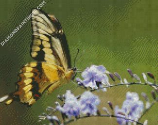 Aesthetic Butterfly diamond painting