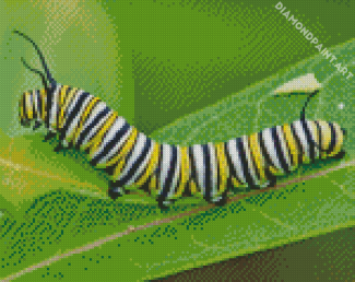 Caterpillar Insect Diamond Painting