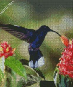 Blue Hummingbird diamond painting