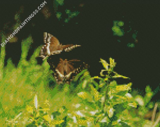 Flying Butterflies diamond painting