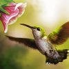 Flying Hummingbird diamond painting