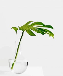 Glase Vase Minimalist Plant Diamond Painting