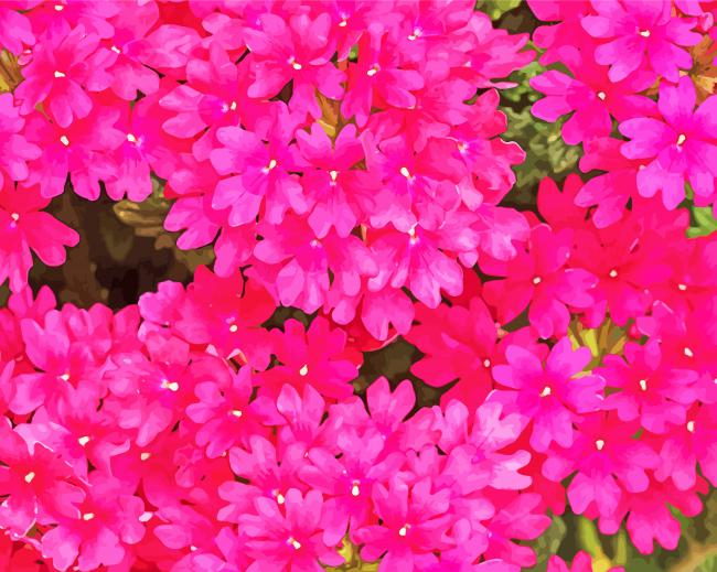 Pink Verbena Flowers Diamond Painting