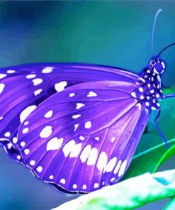 Purple Butterfly diamond painting