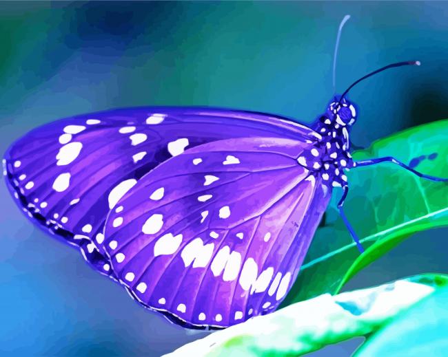Purple Butterfly diamond painting