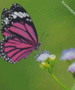 Purple Butterfly On Flower diamond painting