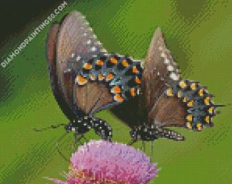 Swallowtail Butterflies diamond painting