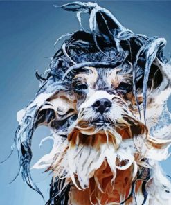 Wet Dog Diamond Painting