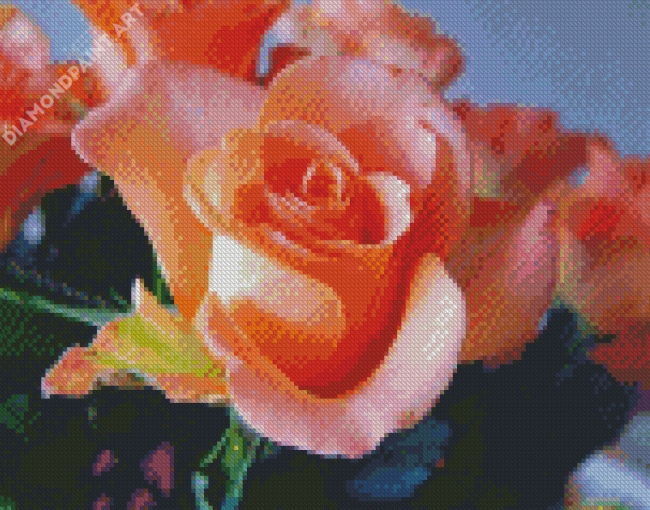 Beautiful Peach Roses Diamond Painting