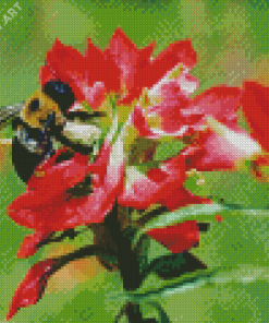 Bumblebee On Indian Paintbrush Diamond Painting