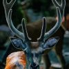 Deer Antlers Animal Diamond Painting