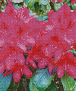 Fuchsia Rhododendron Diamond Painting