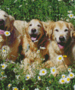 Golden Retriever Dogs With Daisies Diamond Painting