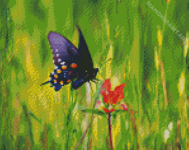 Indian Paintbrush And Butterfly Diamond Painting