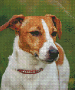 Jack Russell Terrier Dog Diamond Painting