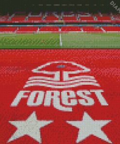 Nottingham Forest Football Club Stadium Diamond Painting