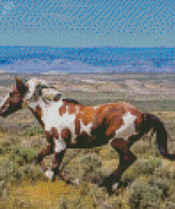 Piccaso Horse Animal Diamond Painting
