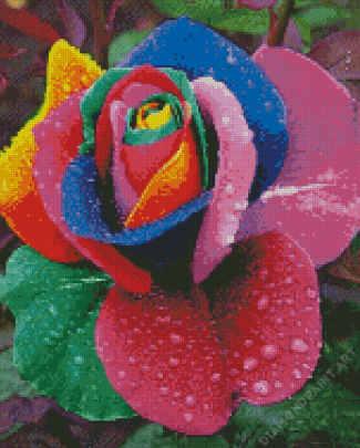 Rainbow Rose And Waterdrop Diamond Painting