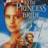 The Princess Bride Poster Diamond Painting