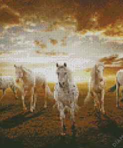 White Five Horses Diamond Painting