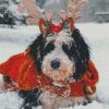 Bernedoodle In Snow Diamond Painting