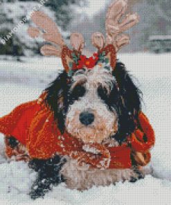 Bernedoodle In Snow Diamond Painting