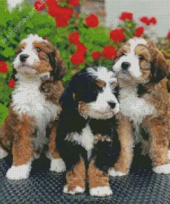 Bernedoodle Puppies Diamond Painting
